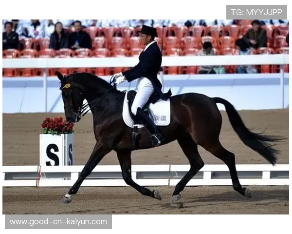 荷兰骑手 Dinja van Liere 在巴黎奥运会盛装舞步比赛中获得第六名，展现出色表现。